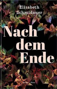 Elisabeth Schmidauer “Nach dem&nbsp;Ende”